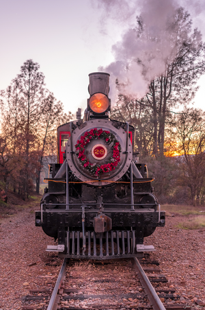 Railtown Engine 28 Portrait