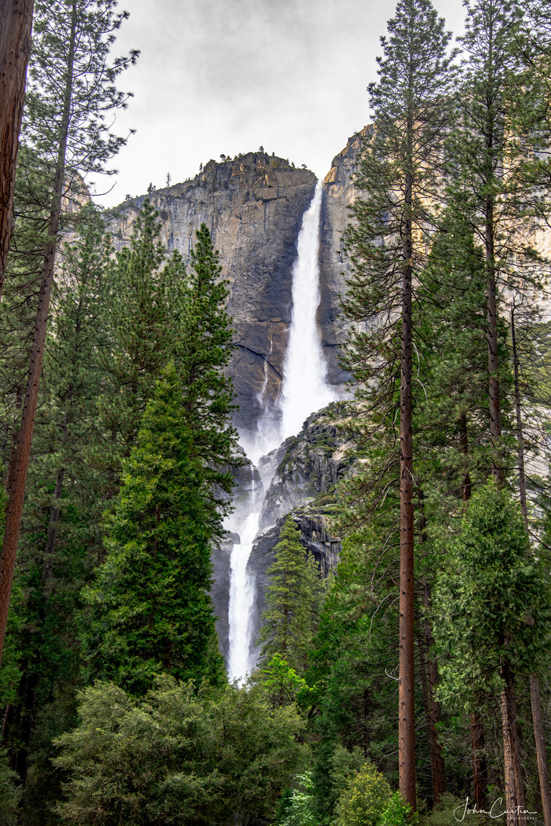 Yosemite Falls w/ Trees